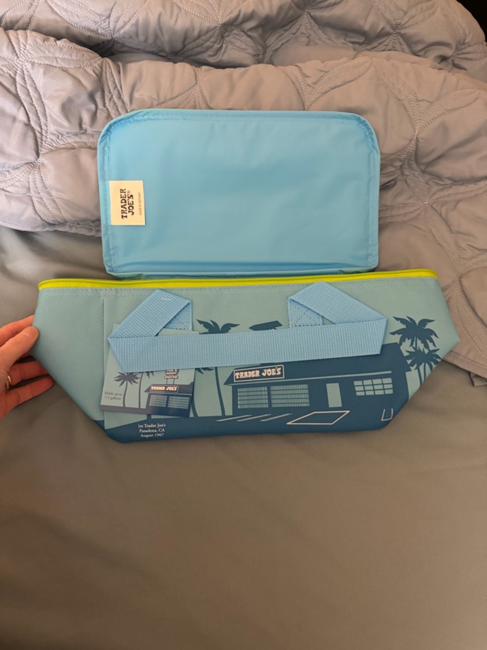 Trader Joe's Light Blue Insulated Tote Bag